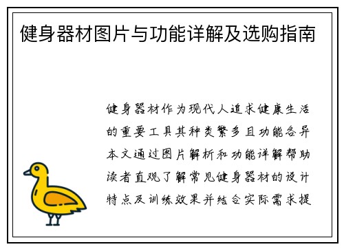 健身器材图片与功能详解及选购指南